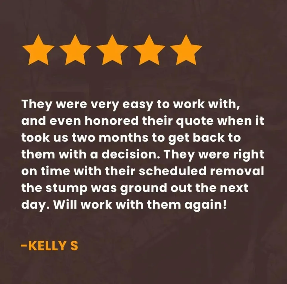 5-star Google review for River City Tree Care, LLC in Chickamauga, GA