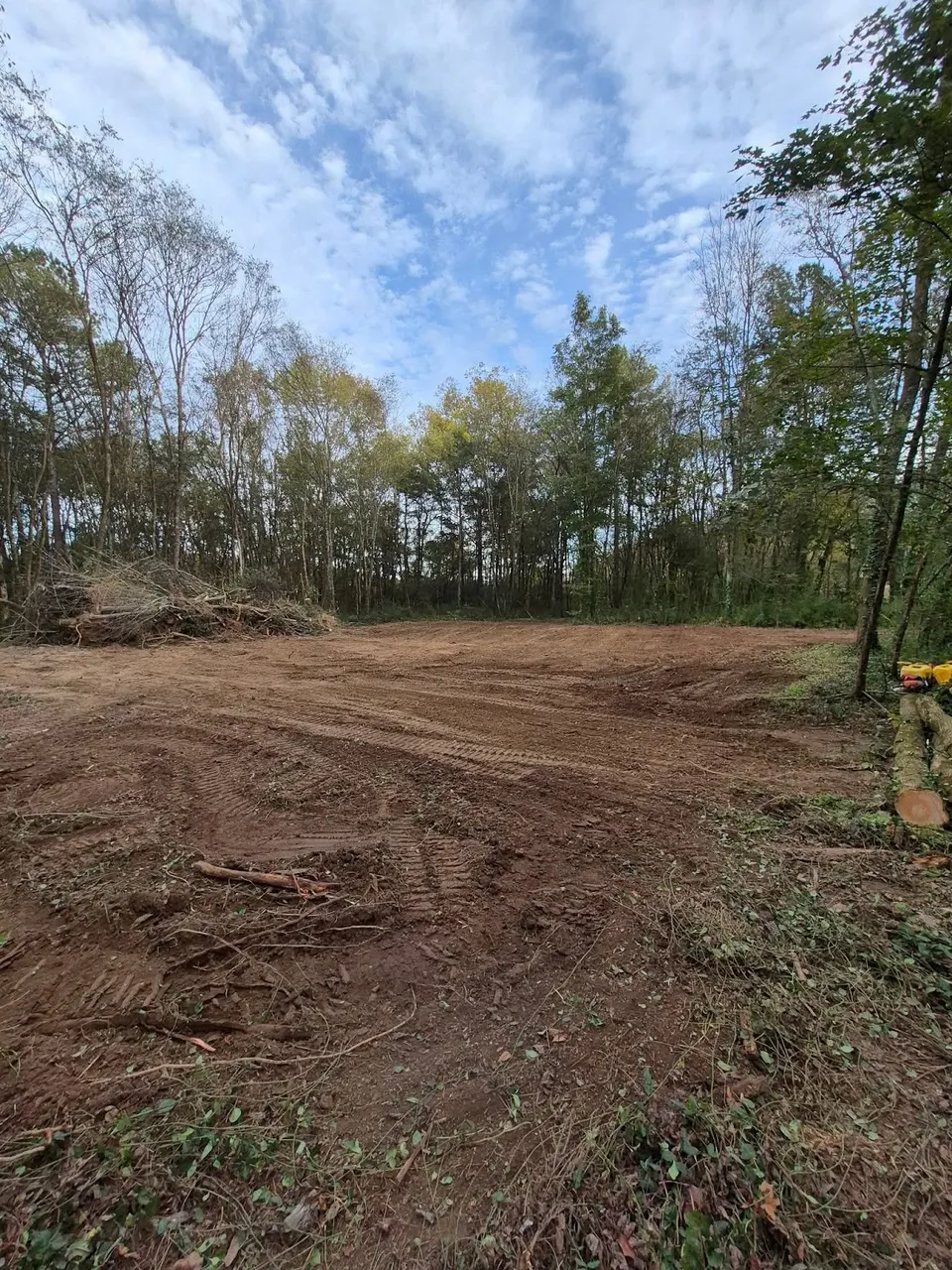 Lot clearing project — trees and brush removed from residential property